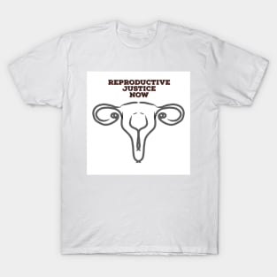 Reproductive Justice Now T-Shirt